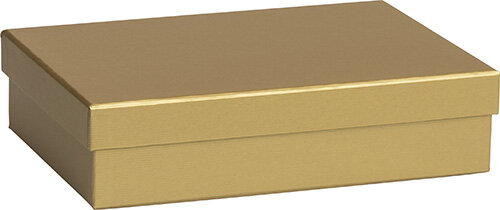 Presentlåda 16.5x24x6 cm Guld